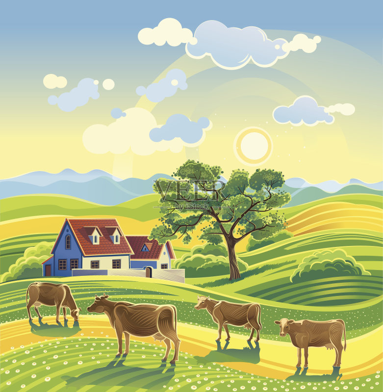乡村夏季景观和奶牛。正版插画素材