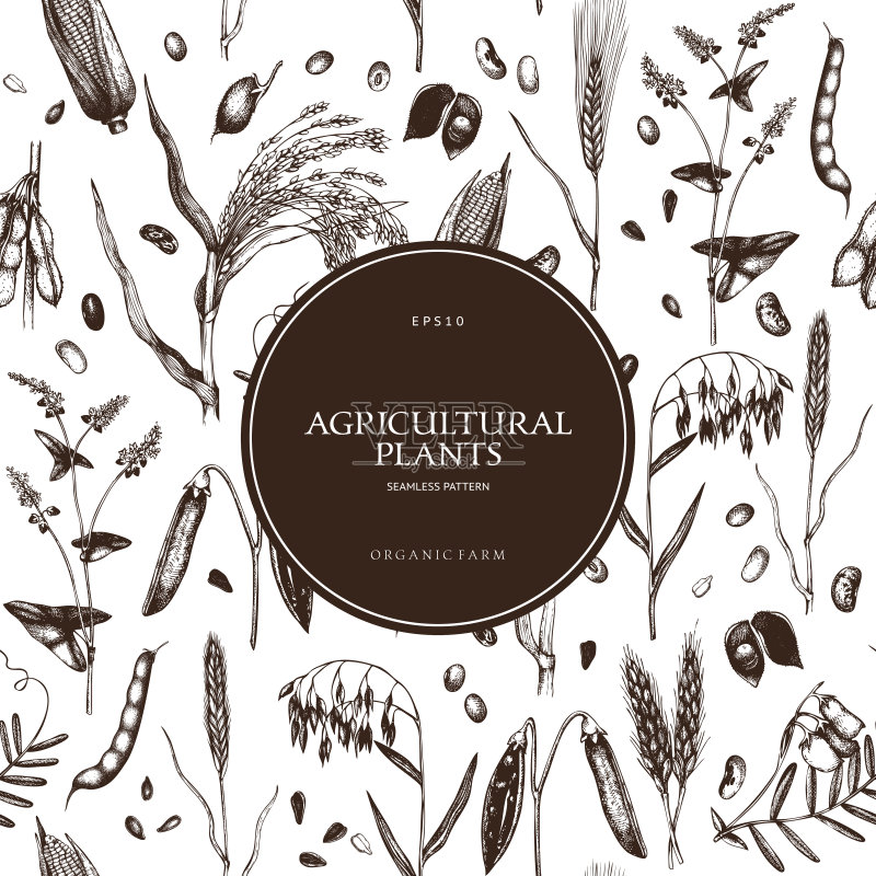 农场新鲜和有机植物背景。正版插画素材