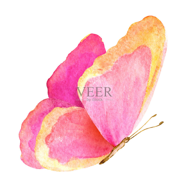 夏天的蝴蝶。水彩插图正版插画素材