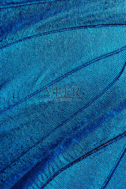 蓝色线条的抽象纹理图案正版图片素材