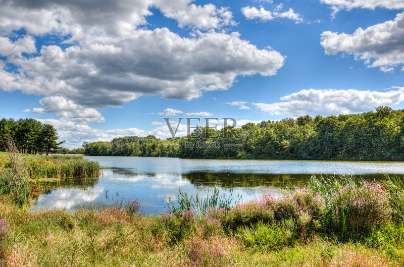 下午在负鼠湖正版图片素材