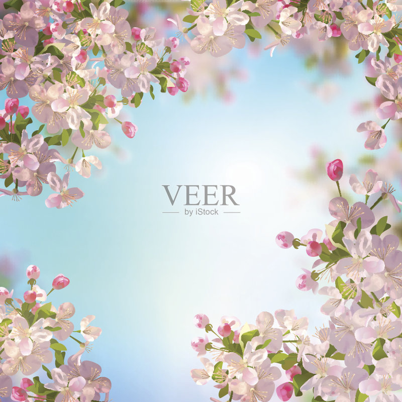 春天苹果花正版插画素材
