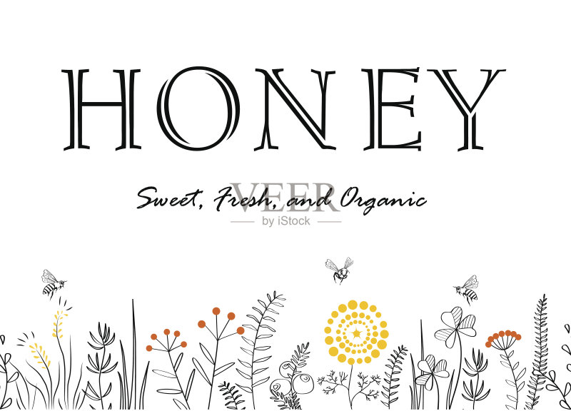 矢量自然无缝背景与手绘野生草本，花和叶在白色。涂鸦风格的花卉插图。正版插画素材