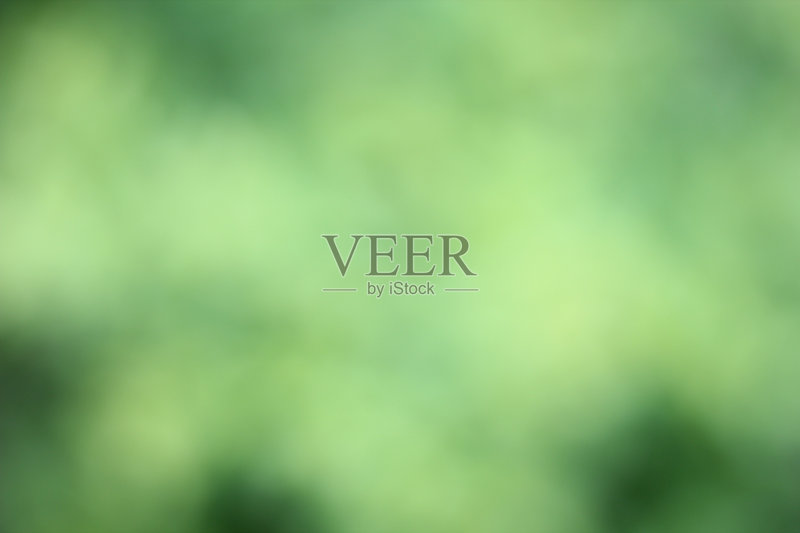 模糊自然树叶正版插画素材