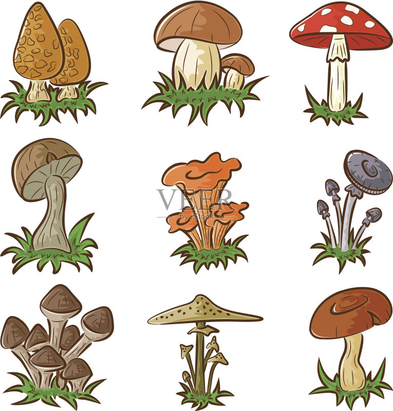 蘑菇正版插画素材