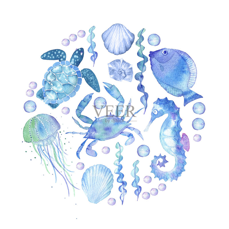 手工绘制的白色背景是一组海洋主题的物体。正版插画素材