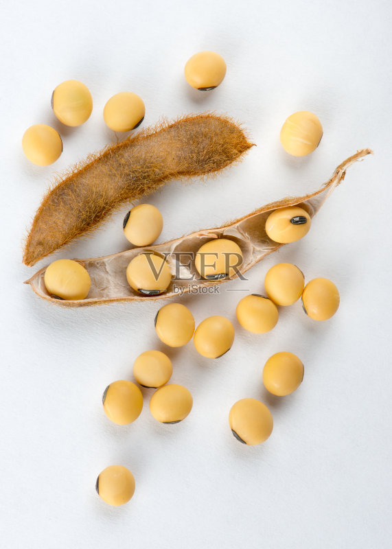 在白色背景下分离的干燥有机大豆荚正版图片素材