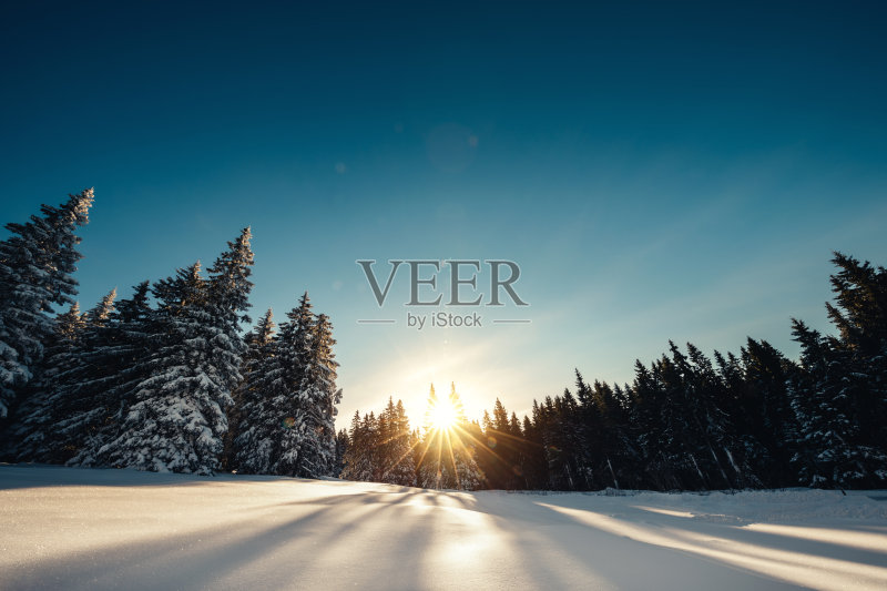 冬天的风景正版图片素材