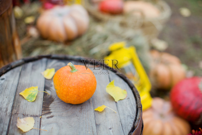 丰富多彩的秋天装饰正版图片素材