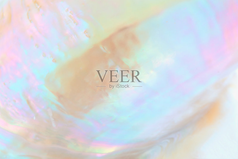 珠蚌蚌的近景正版图片素材