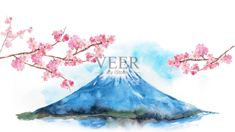 樱花枝。正版插画素材