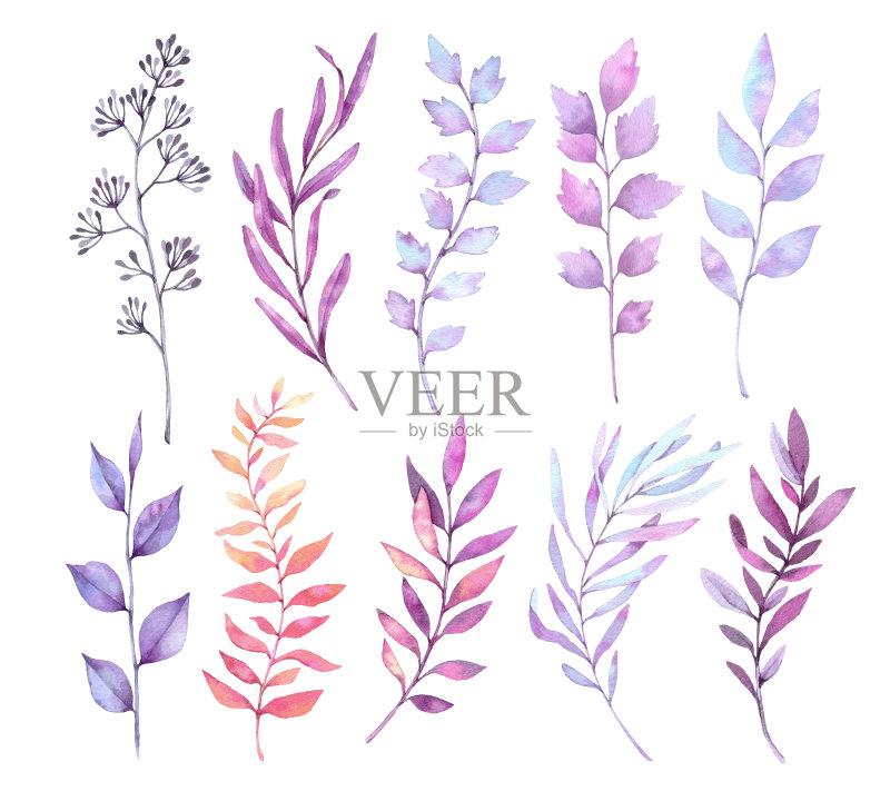 手绘水彩插图。植物剪纸艺术。紫色的叶子，草本植物和树枝。花的设计元素。完美的婚礼邀请，贺卡，博客，海报和更多正版插画素材