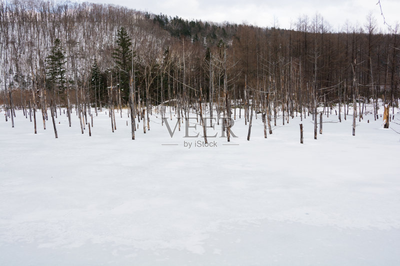 冬天的别湖正版图片素材