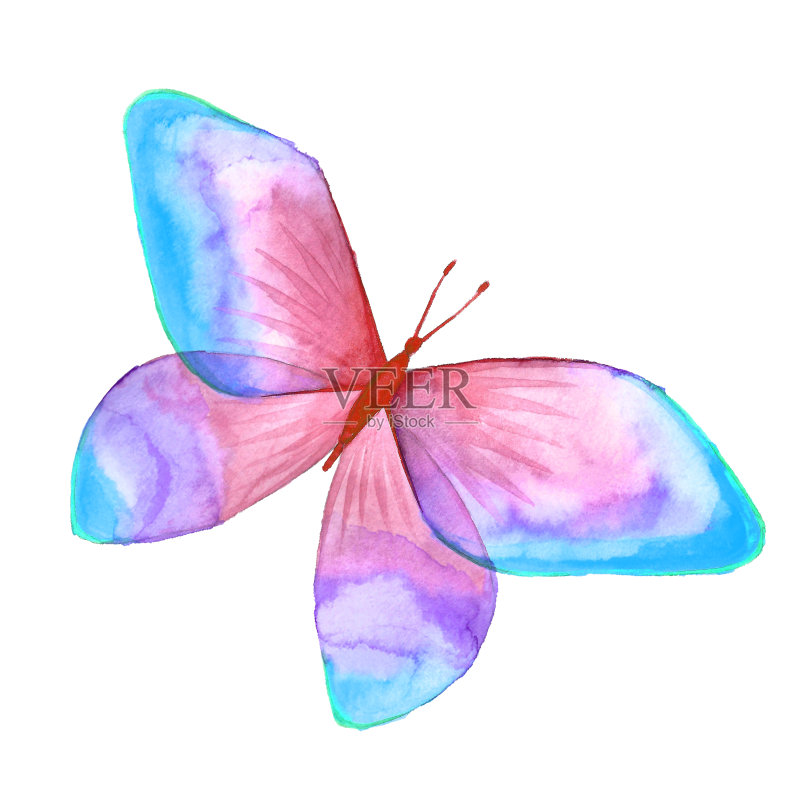 蝴蝶水彩插图正版插画素材