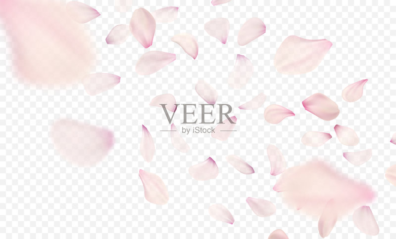 粉红色樱花落花背景。矢量图正版元素素材