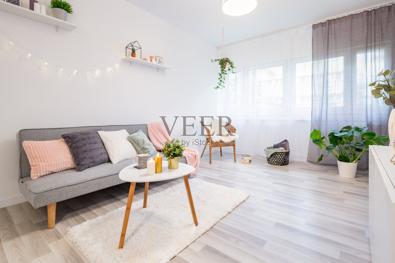 斯堪的纳维亚风格的客厅正版图片素材