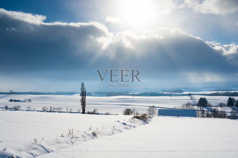 阳光雪景正版图片素材