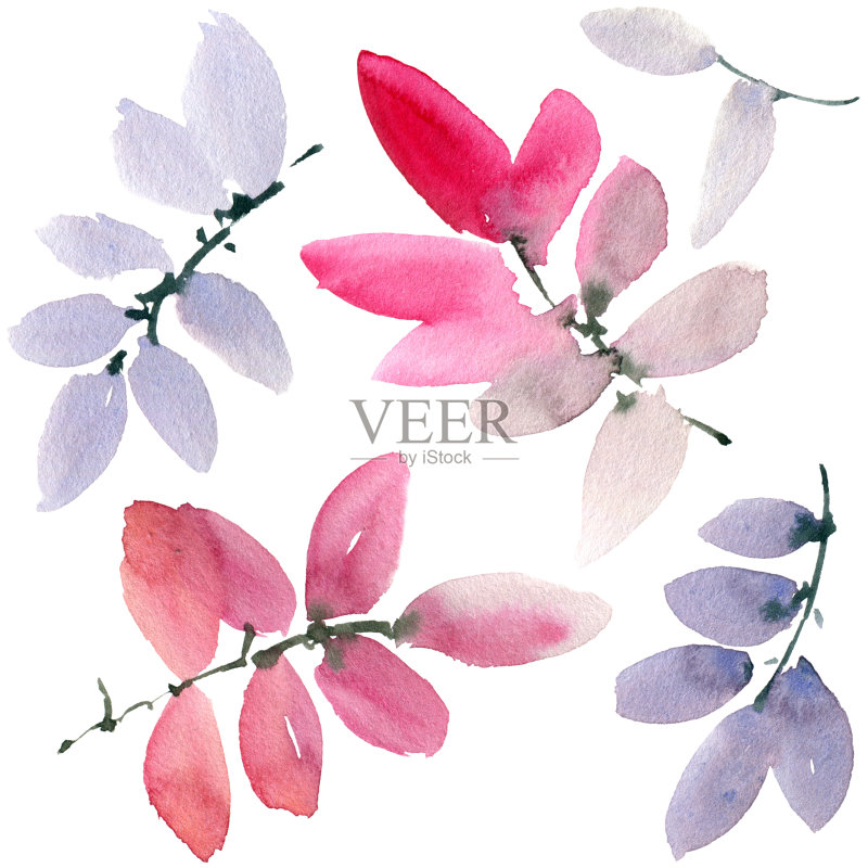 水彩的叶子正版插画素材