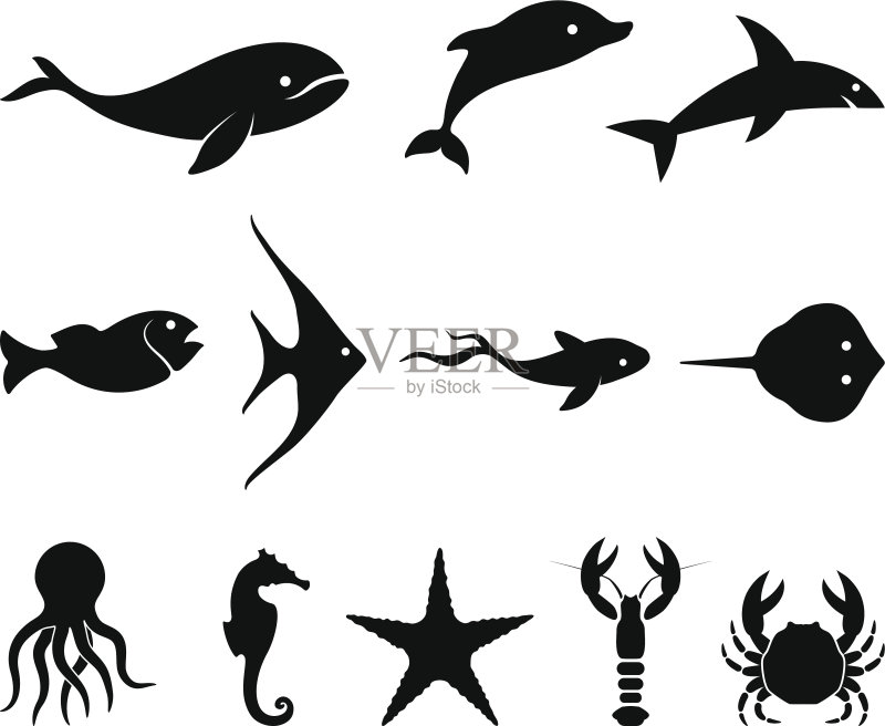 黑白海洋生物免版税矢量图标合集图标素材