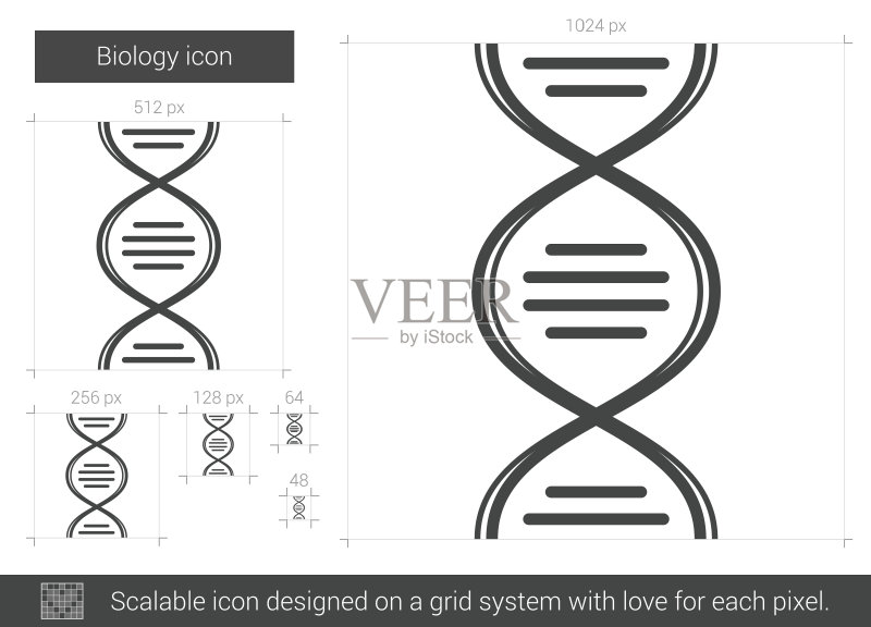 生物学线性图标图标素材