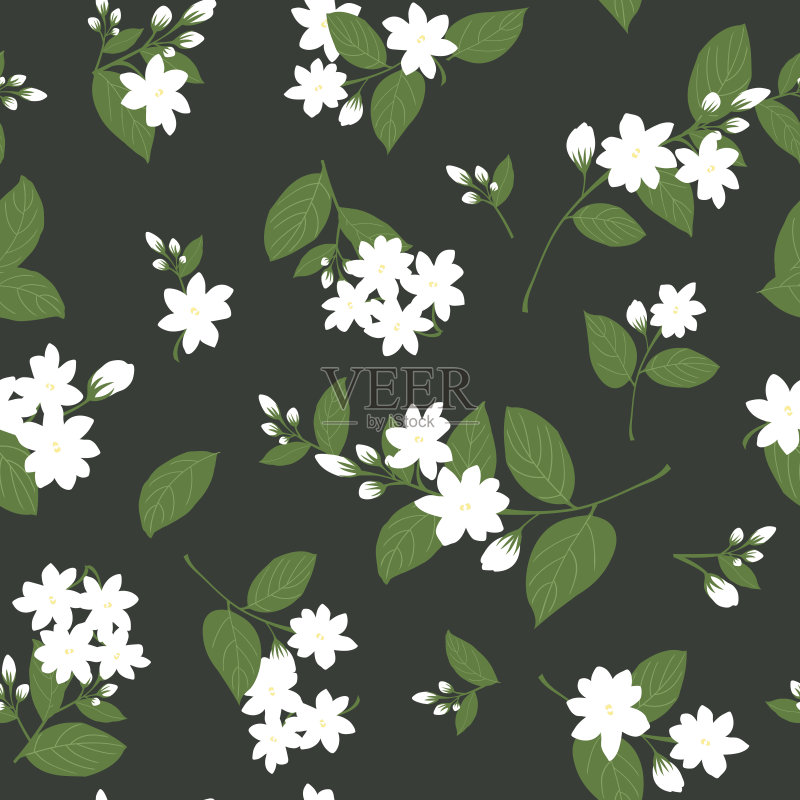 无缝白色茉莉与叶子在黑色的背景，花矢量插图正版插画素材