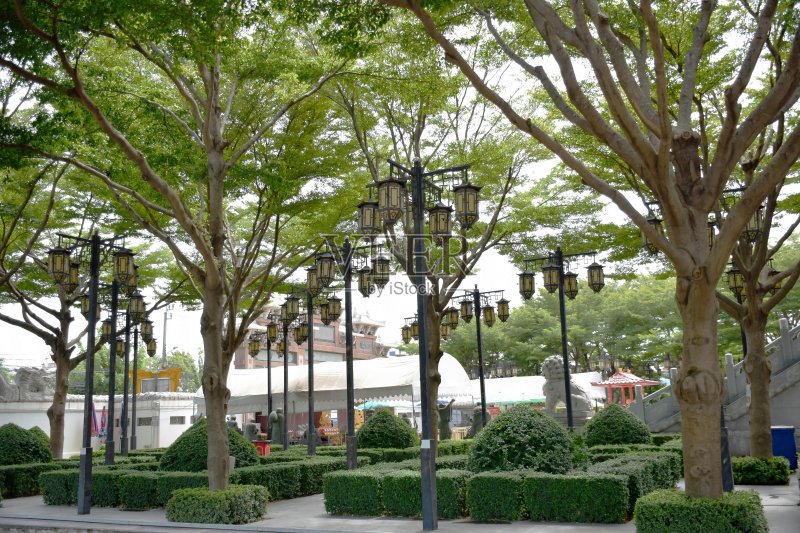 泰国曼谷寺庙花园里的中国灯笼正版图片素材