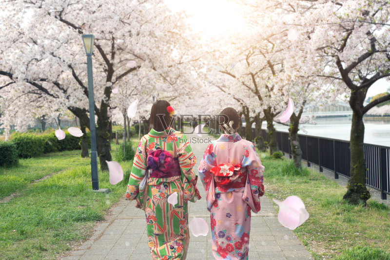 在日本大阪的樱花花园里，一对亚洲妇女穿着传统的日本和服。正版图片素材
