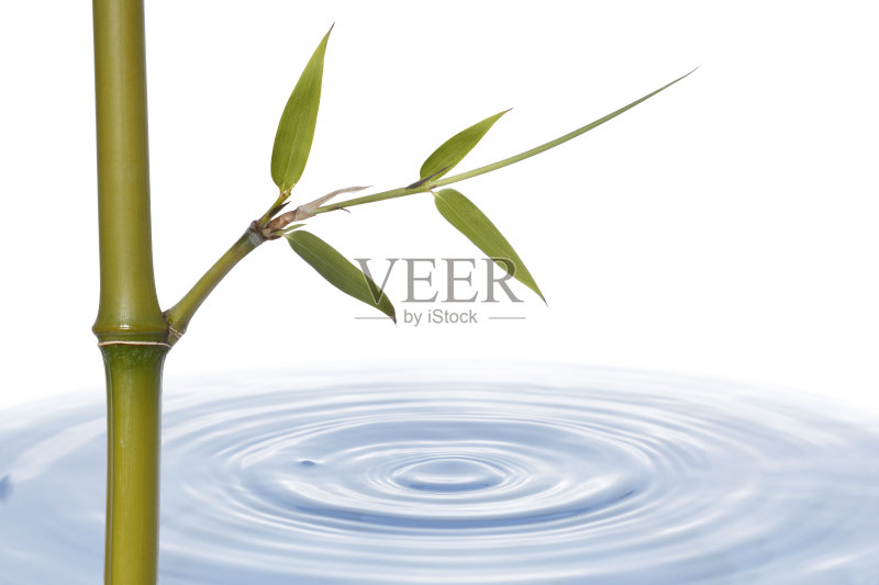 带叶和水的竹杆正版图片素材