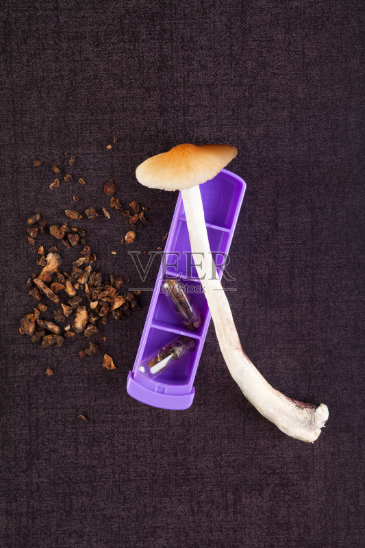 神奇的蘑菇与药丸的组织者。微剂量。正版图片素材