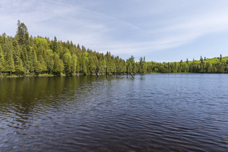 湖本森正版图片素材
