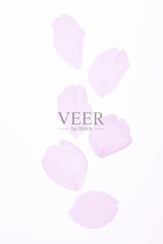 花的花瓣正版图片素材