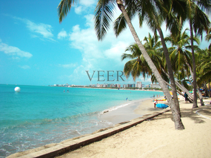 马塞奥海滩景观椰子树正版图片素材