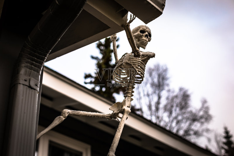 挂骨架正版图片素材