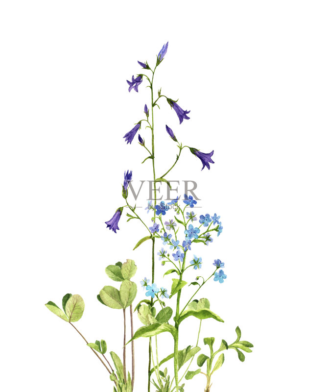 水彩绘画的花正版元素素材