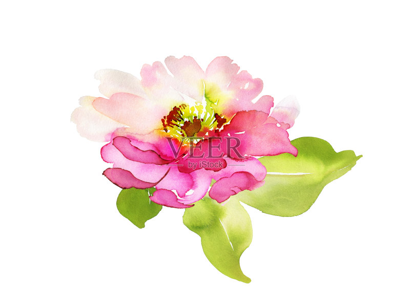 贺卡与水彩花手工制作正版插画素材