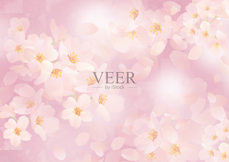 这是日本一棵美丽的樱桃树正版插画素材