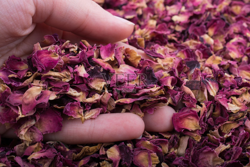 干玫瑰花瓣的背景正版图片素材