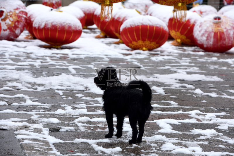 中国新年正版图片素材