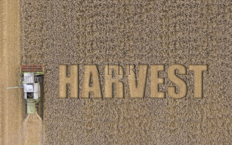 收获的季节正版图片素材