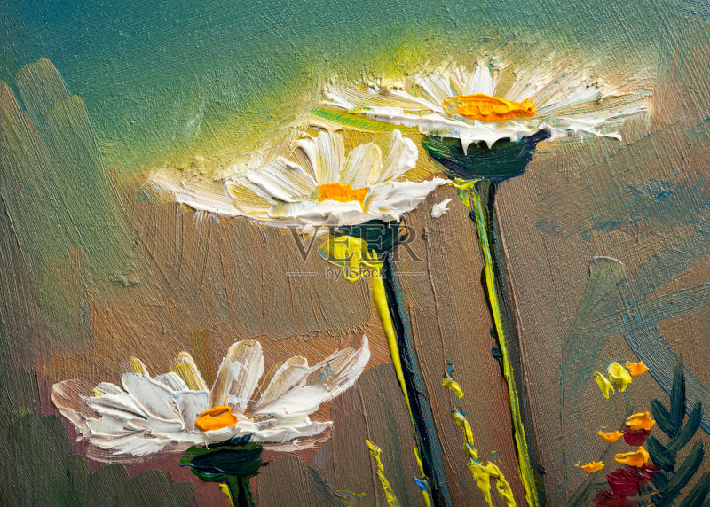 雏菊花油画正版插画素材