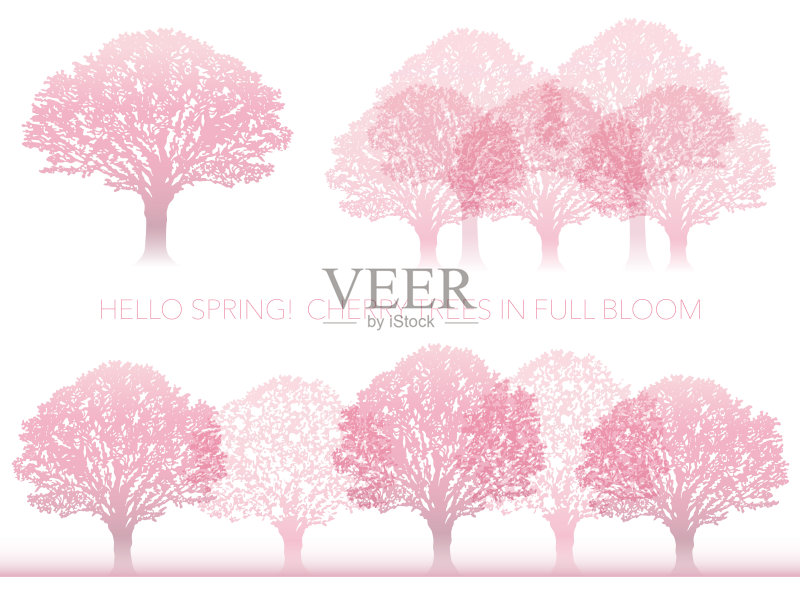 一套向量樱桃树插图盛开。正版元素素材