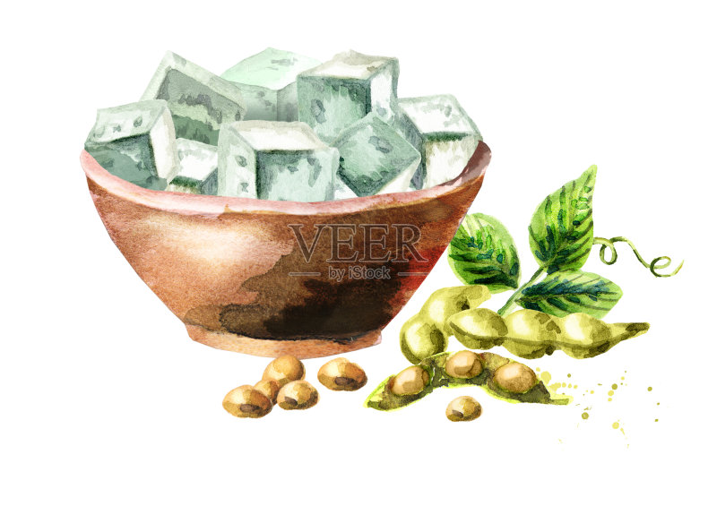 一碗豆腐。水彩手绘插图正版插画素材