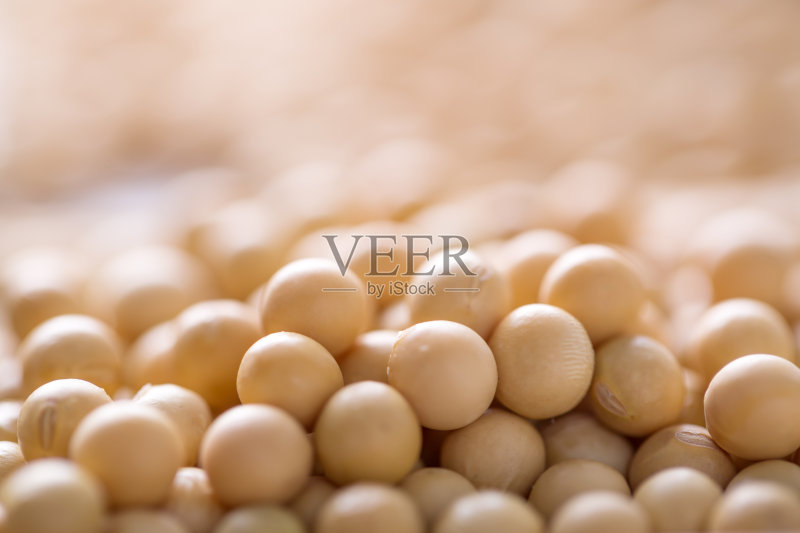 我是bean正版图片素材