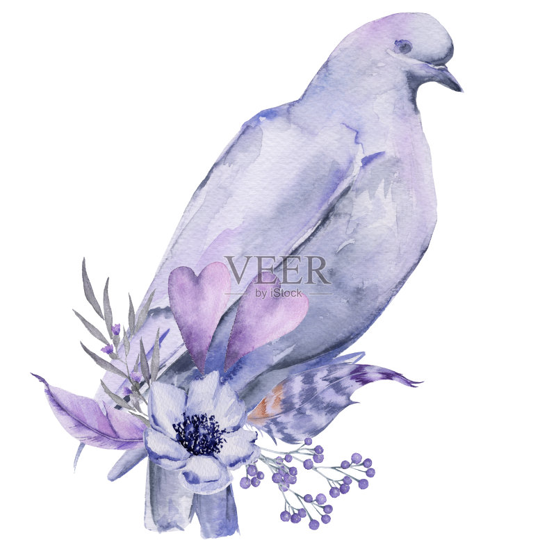 白色的鸽子。孤立在白色背景上。正版插画素材