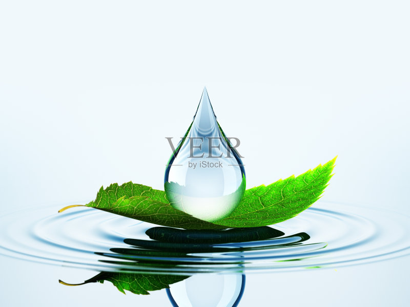 叶子与水滴的水正版图片素材