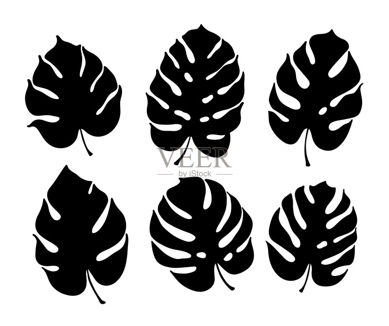 怪物叶媒介植物学图解正版插画素材