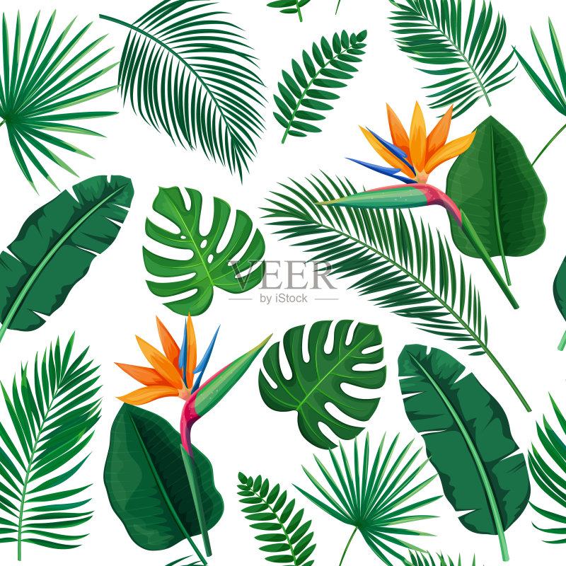 热带叶片无缝模式正版插画素材