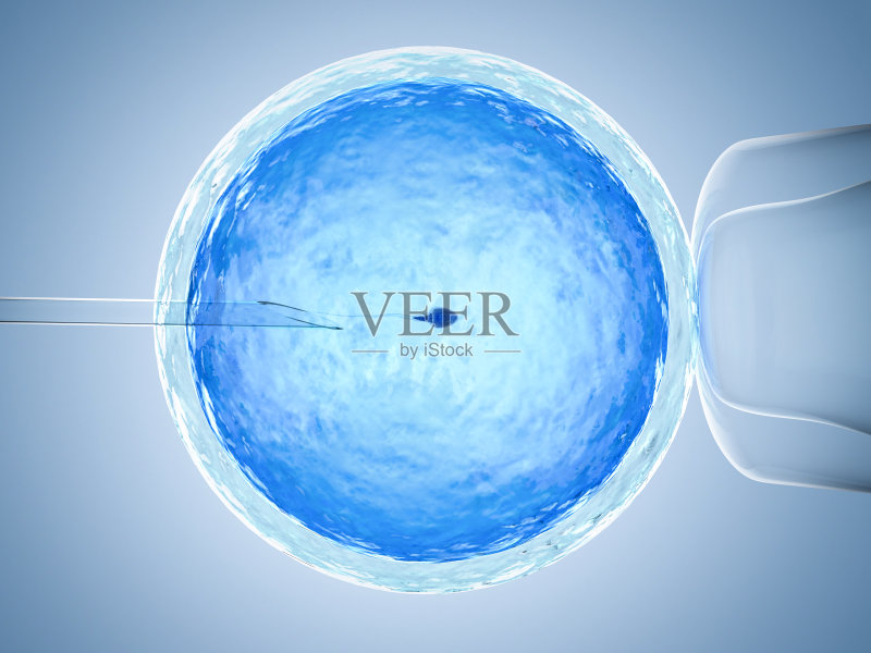 人工受精或试管受精正版图片素材