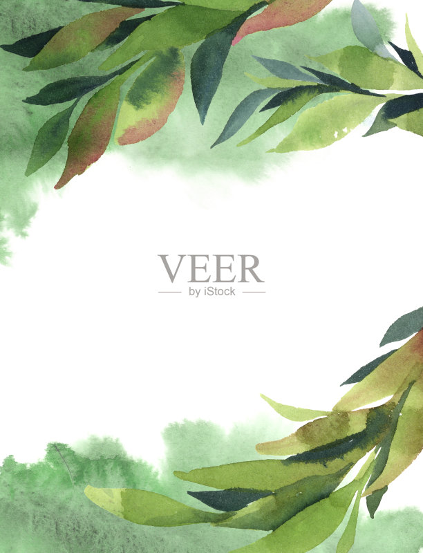 垂直背景的绿叶和溅在白色的背景正版插画素材