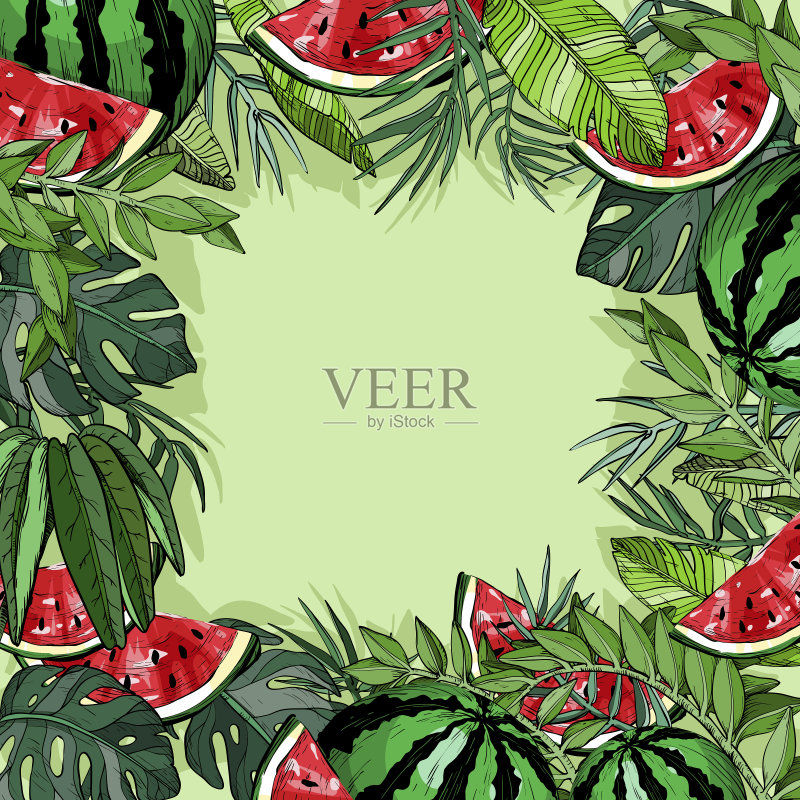 热带夏季背景，西瓜和丛林植物正版插画素材